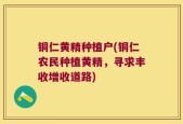 铜仁黄精种植户(铜仁农民种植黄精，寻求丰收增收道路)