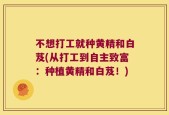 不想打工就种黄精和白芨(从打工到自主致富：种植黄精和白芨！)