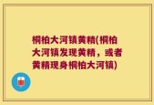 桐柏大河镇黄精(桐柏大河镇发现黄精，或者黄精现身桐柏大河镇)