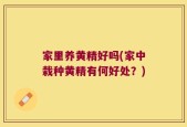 家里养黄精好吗(家中栽种黄精有何好处？)