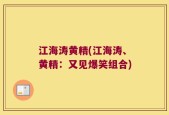 江海涛黄精(江海涛、黄精：又见爆笑组合)