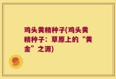 鸡头黄精种子(鸡头黄精种子：草原上的“黄金”之源)