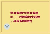野山黄精叶(野山黄精叶：一种神奇的中药材，具有多种功效)