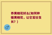 养黄精花好么(如何种植黄精花，让它茁壮生长？)