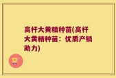 高杆大黄精种苗(高杆大黄精种苗：优质产销助力)
