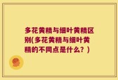 多花黄精与细叶黄精区别(多花黄精与细叶黄精的不同点是什么？)
