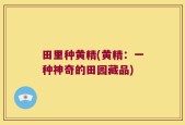 田里种黄精(黄精：一种神奇的田园藏品)