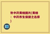 熟中药黄精图片(黄精：中药养生保健之选择)