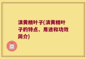 滇黄精叶子(滇黄精叶子的特点、用途和功效简介)
