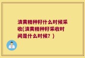 滇黄精种籽什么时候采收(滇黄精种籽采收时间是什么时候？)