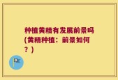 种植黄精有发展前景吗(黄精种植：前景如何？)