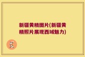 新疆黄精图片(新疆黄精照片展现西域魅力)