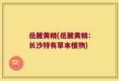 岳麓黄精(岳麓黄精：长沙特有草本植物)