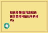 稻壳种黄精(利用稻壳提高黄精种植效率的技巧)