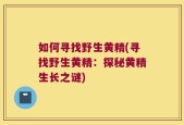 如何寻找野生黄精(寻找野生黄精：探秘黄精生长之谜)