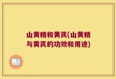 山黄精和黄芪(山黄精与黄芪的功效和用途)