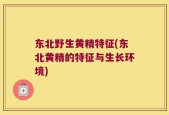 东北野生黄精特征(东北黄精的特征与生长环境)