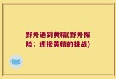 野外遇到黄精(野外探险：迎接黄精的挑战)