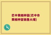 巴中黄精种苗(巴中市黄精种苗销售火爆)