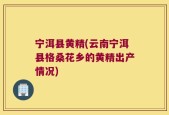宁洱县黄精(云南宁洱县格桑花乡的黄精出产情况)