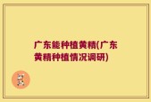 广东能种植黄精(广东黄精种植情况调研)