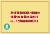 怎样育黄精苗让黄精长得最快(育黄精苗的技巧，让黄精迅速成长)