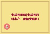 安岳县黄精(安岳县药材丰产，黄精受瞩目)