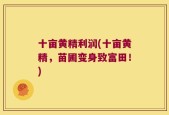 十亩黄精利润(十亩黄精，苗圃变身致富田！)