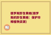 俄罗斯野生黄精(俄罗斯的野生黄精：保护珍稀植物资源)