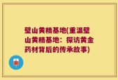 璧山黄精基地(重温璧山黄精基地：探访黄金药材背后的传承故事)