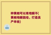 种黄精可以用地膜不(黄精地膜栽培，打造高产丰收)