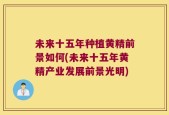 未来十五年种植黄精前景如何(未来十五年黄精产业发展前景光明)