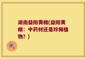 湖南益阳黄精(益阳黄精：中药材还是珍稀植物？)