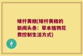 矮杆黄精(矮杆黄精的新闻头条：草本植物花费控制生活方式)