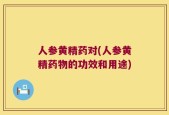 人参黄精药对(人参黄精药物的功效和用途)