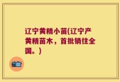 辽宁黄精小苗(辽宁产黄精苗木，首批销往全国。)