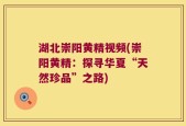 湖北崇阳黄精视频(崇阳黄精：探寻华夏“天然珍品”之路)