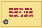 泰山黄精种苗(泰山黄精种植技术：全面解析种苗选取、生长管理等)