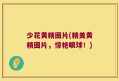 少花黄精图片(精美黄精图片，惊艳眼球！)