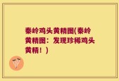 秦岭鸡头黄精图(秦岭黄精图：发现珍稀鸡头黄精！)