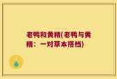 老鸭和黄精(老鸭与黄精：一对草本搭档)