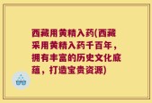 西藏用黄精入药(西藏采用黄精入药千百年，拥有丰富的历史文化底蕴，打造宝贵资源)