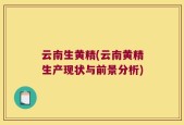 云南生黄精(云南黄精生产现状与前景分析)