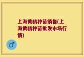 上海黄精种苗销售(上海黄精种苗批发市场行情)