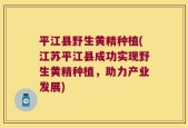 平江县野生黄精种植(江苏平江县成功实现野生黄精种植，助力产业发展)