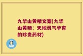 九华山黄精文案(九华山黄精：天地灵气孕育的珍贵药材)