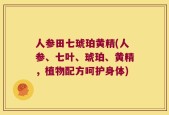 人参田七琥珀黄精(人参、七叶、琥珀、黄精，植物配方呵护身体)