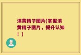 滇黄精子图片(掌握滇黄精子图片，提升认知！)