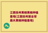 江西抚州黄精黄精种植基地(江西抚州建全球最大黄精种植基地)