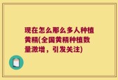 现在怎么那么多人种植黄精(全国黄精种植数量激增，引发关注)